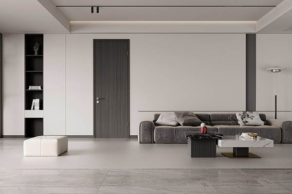 Lecteur polyvalent économique et pratique